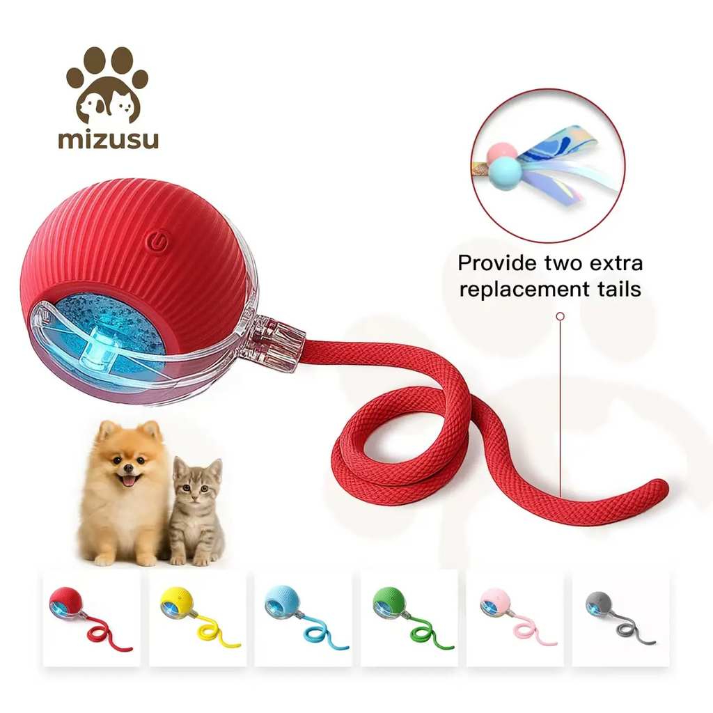 Rolling Ball Pet Teaser Toy