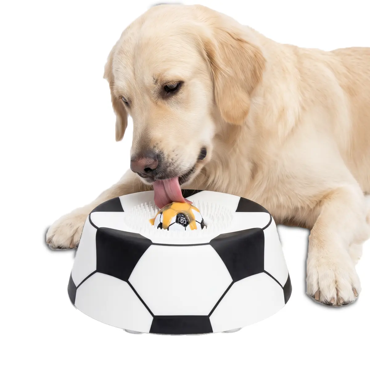 Large Suction Dog Treat Bowl