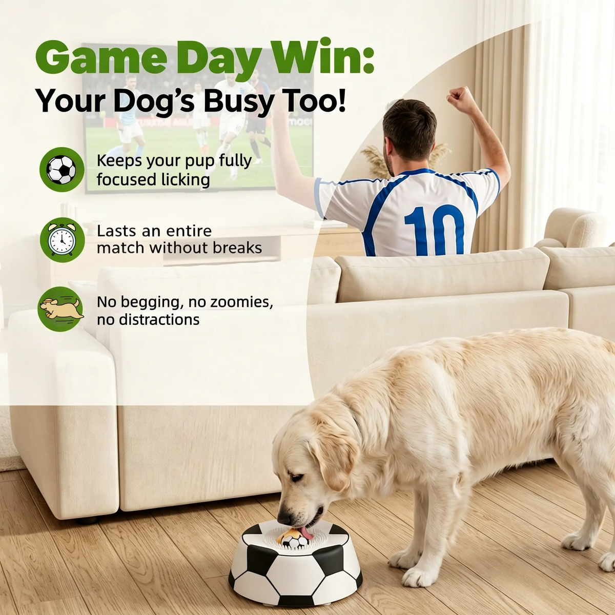 Large Suction Dog Treat Bowl