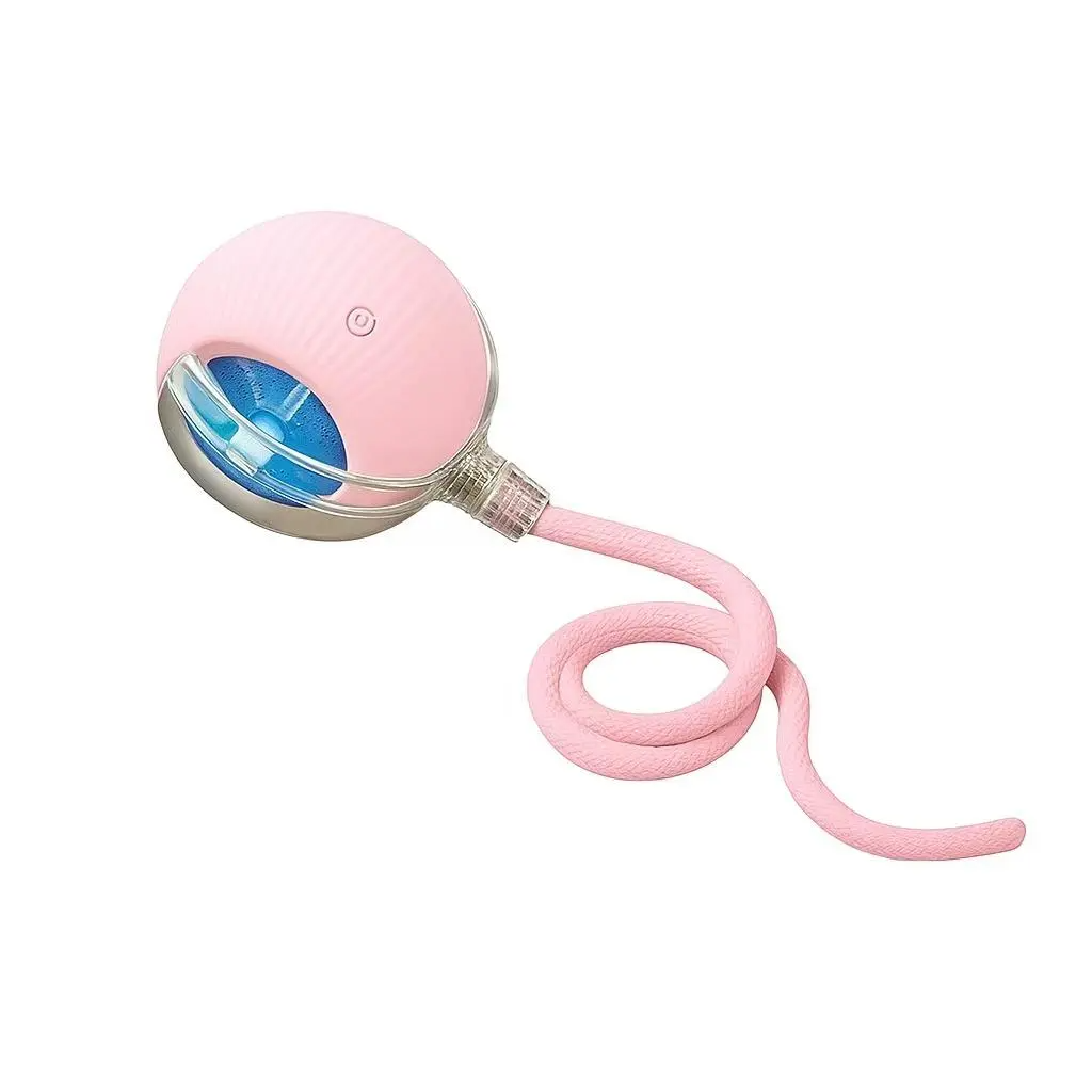 Rolling Ball Pet Teaser Toy